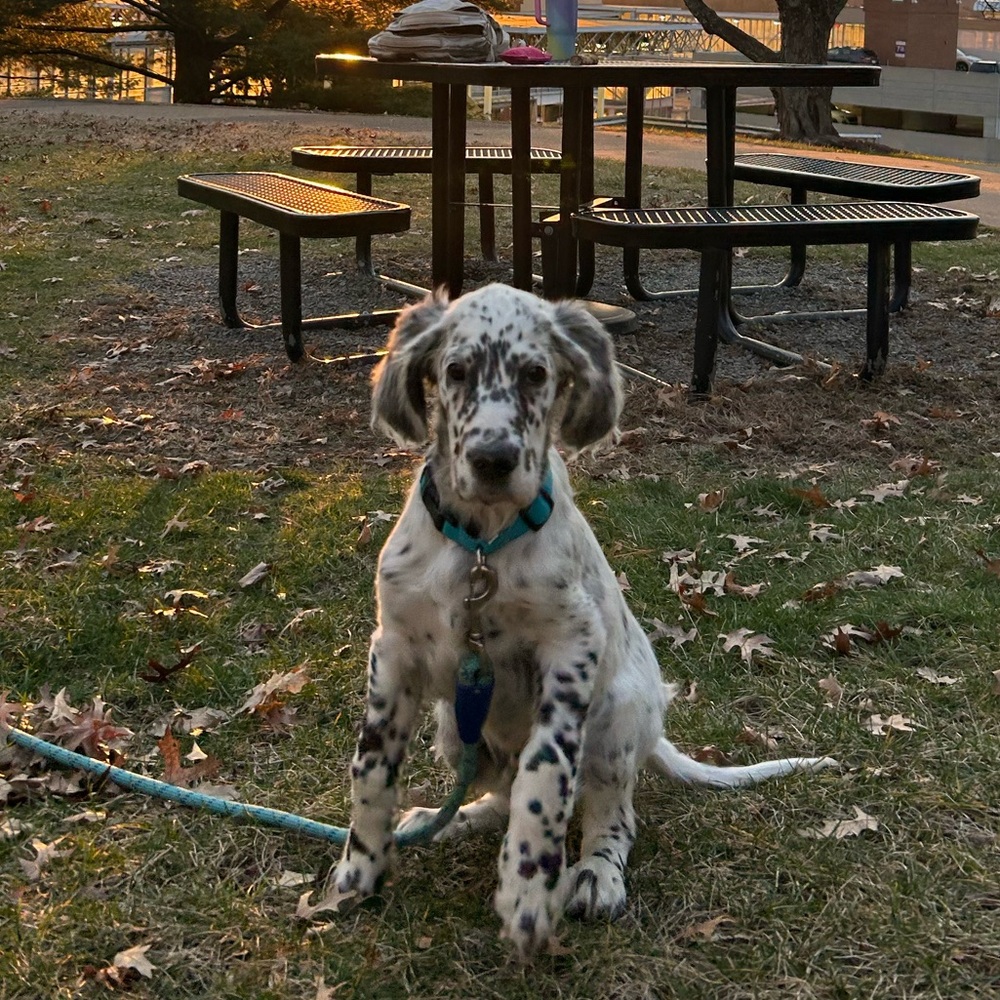 Meet your Posher, Emily